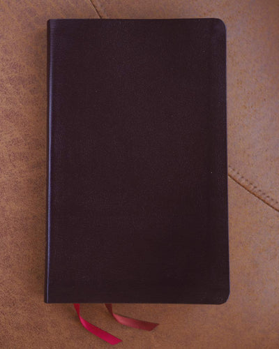 NIV Thinline Bible Bonded Leather Burgundy Red Letter