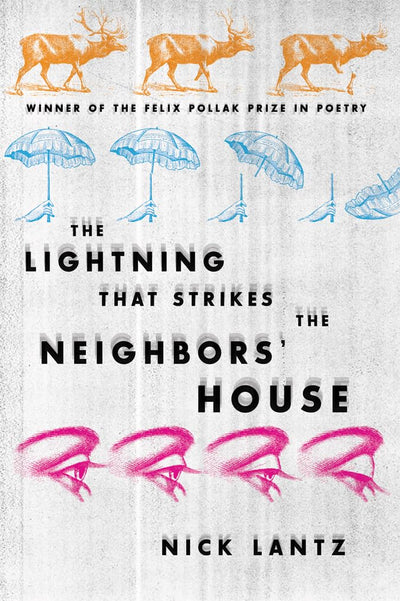 The Lightning That Strikes the Neighbors House (Wisconsin Poetry Series)