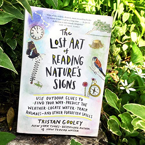 The Lost Art of Reading Natures Signs: Use Outdoor Clues to