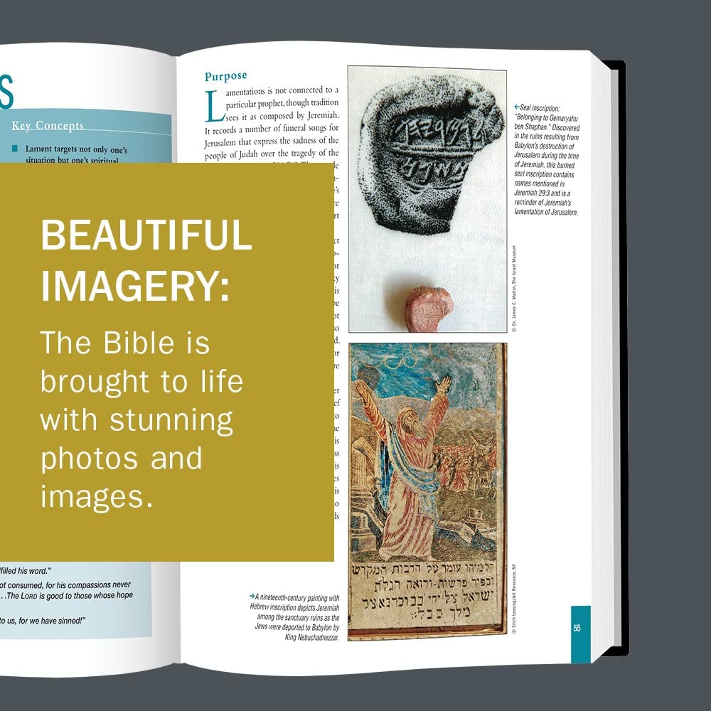 The Essential Bible Companion: Key Insights for Reading God's Word (Essential Bible Companion Series)