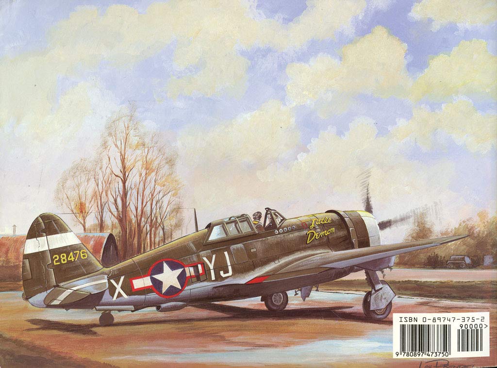 P-47 Thunderbolt - Walk Around No. 11 by Drendel, Lou