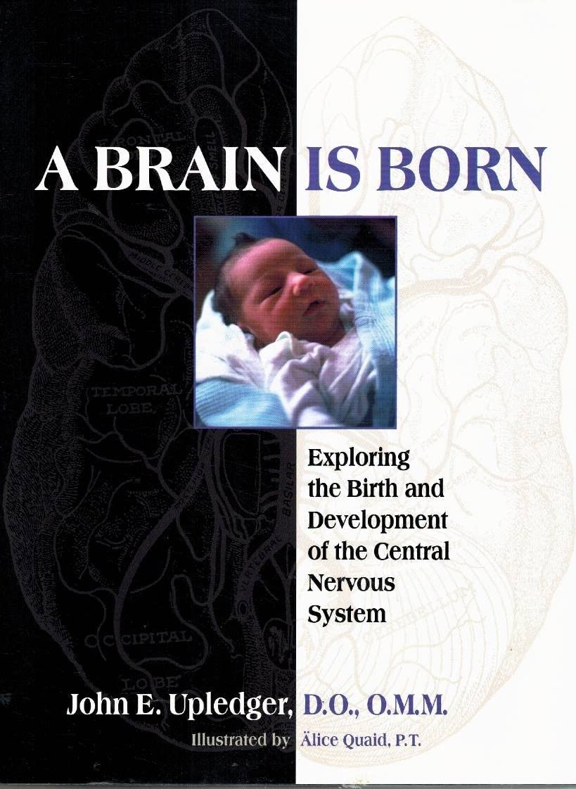 A Brain Is Born: Exploring the Birth and Development of the Central Nervous System