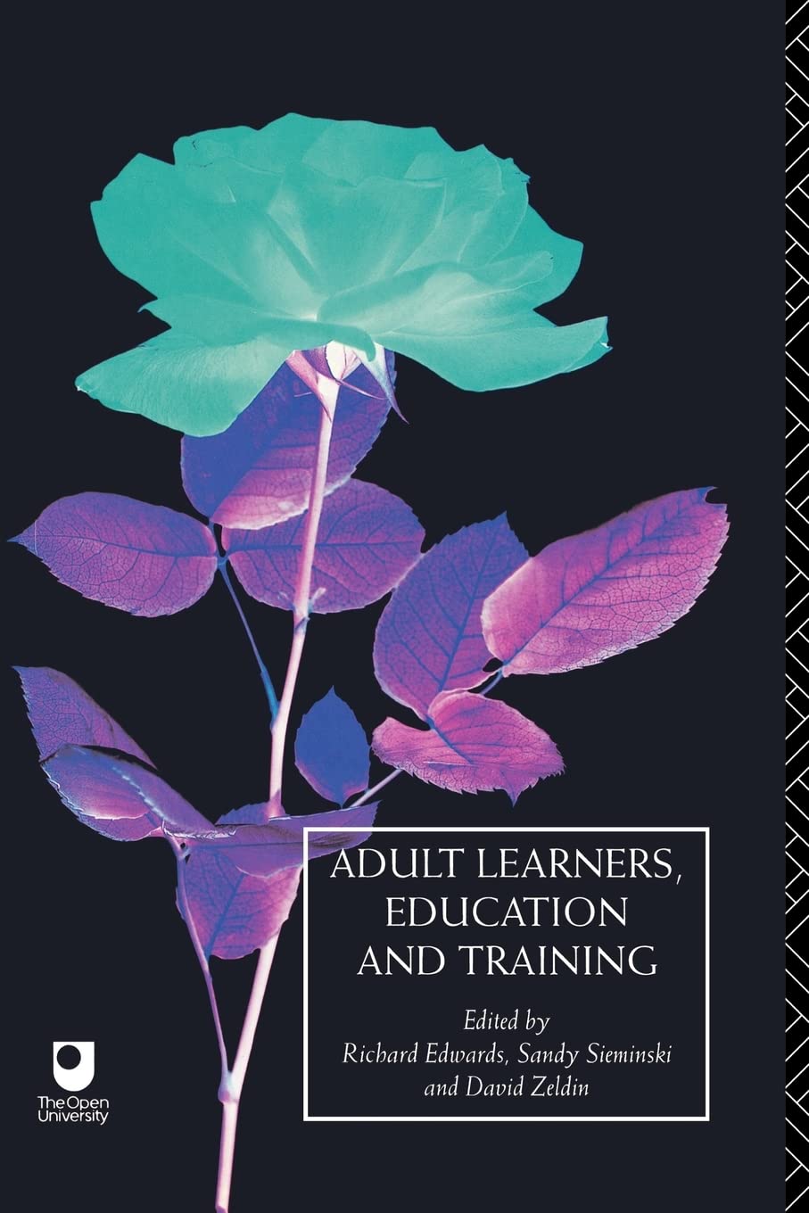 Learning Through Life, No. 2: Adult Learners, Education and Training - A Reader