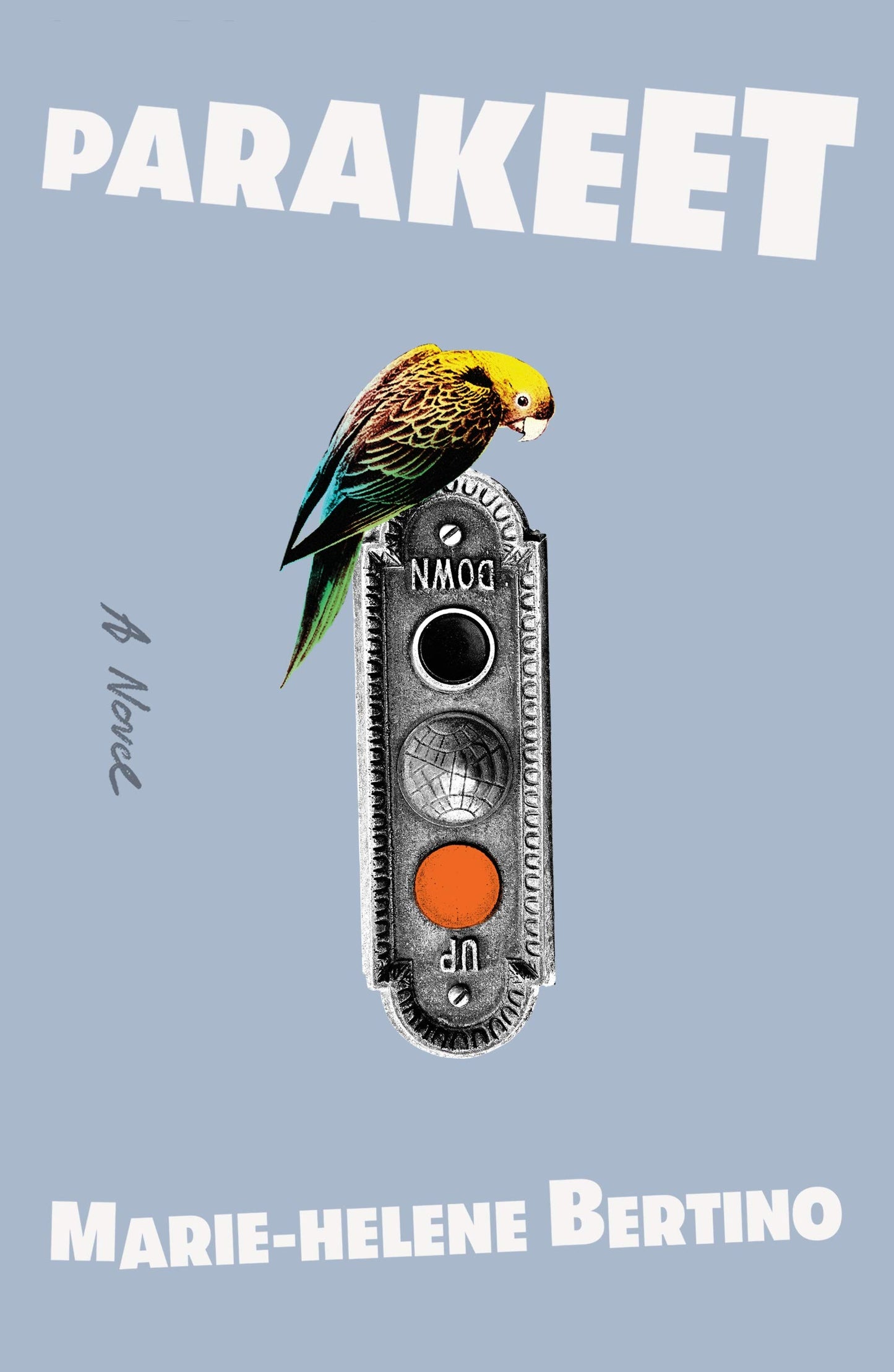 Parakeet: A Novel by Bertino, Marie-Helene