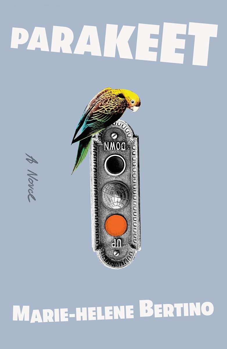 Parakeet: A Novel by Bertino, Marie-Helene