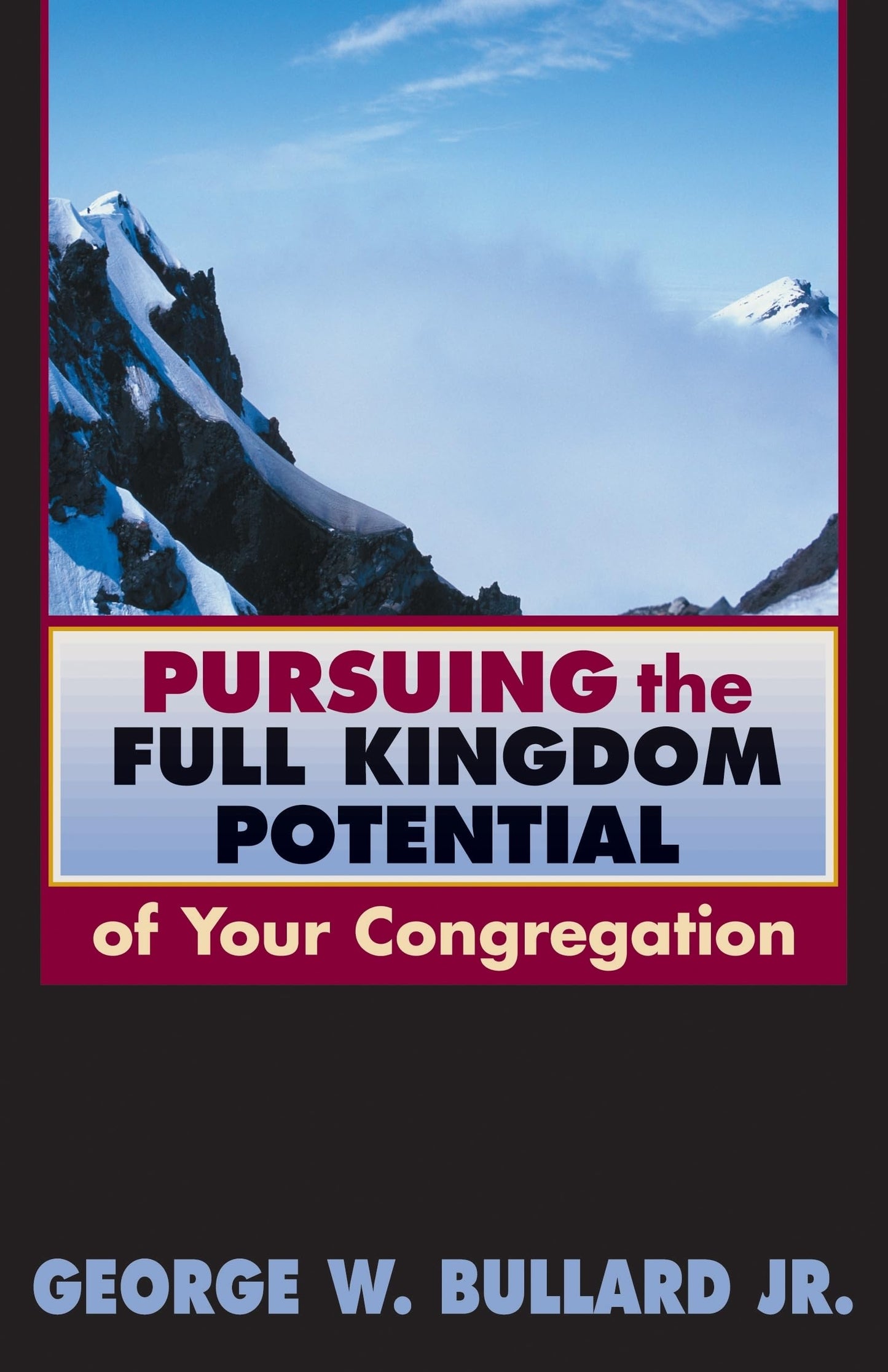Pursuing the Full Kingdom Potential of Your Congregation (TCP Leadership Series) (TCP the Columbia Partnership Leadership)