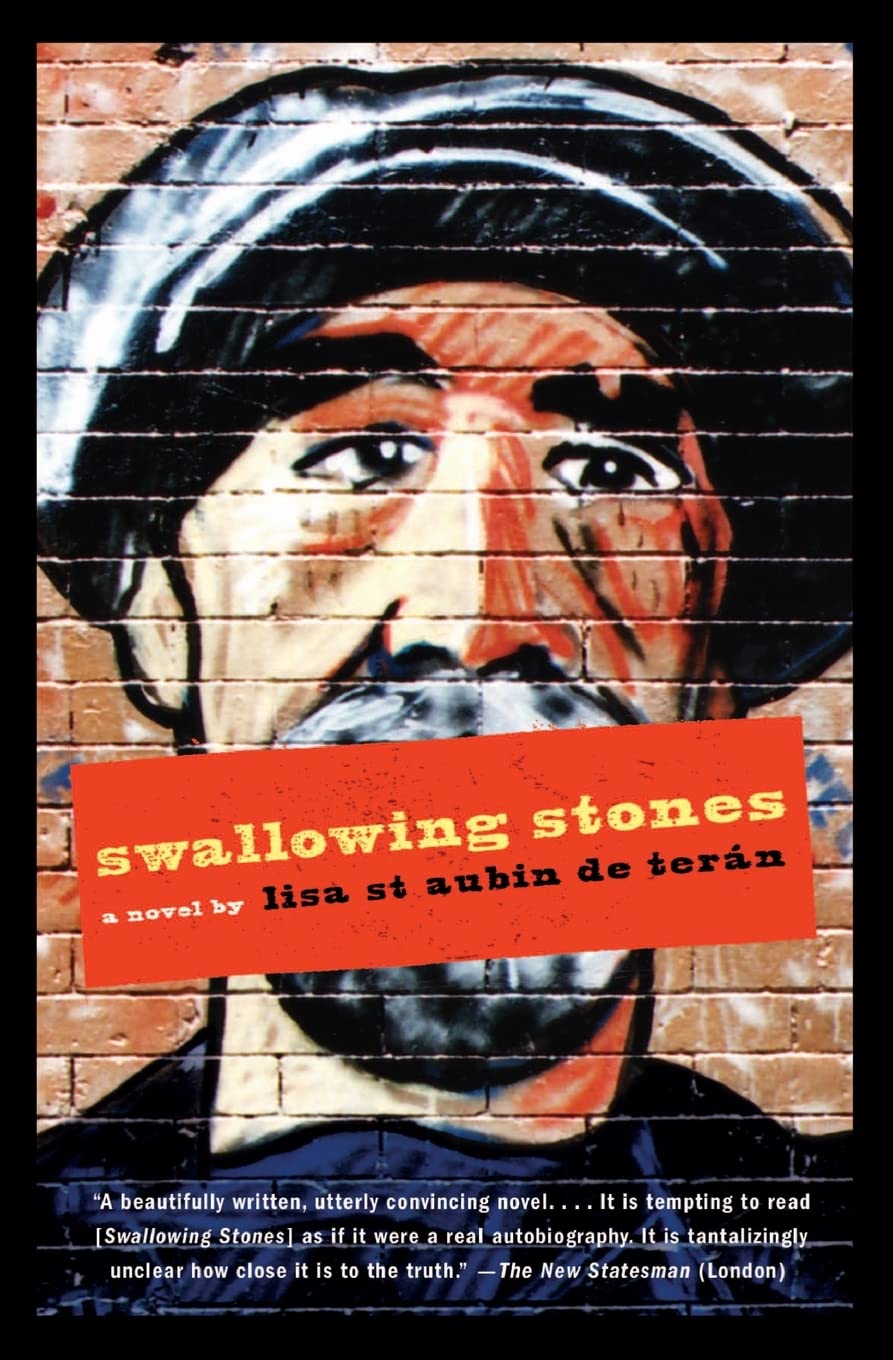 Swallowing Stones: A Novel by St. Aubin de Teran, Lisa