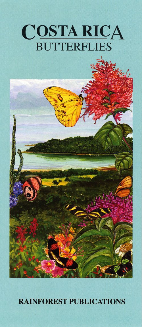 Costa Rica Butterflies Wildlife Guide (Laminated Foldout Pocket Field Guide) (English and Spanish Edition)