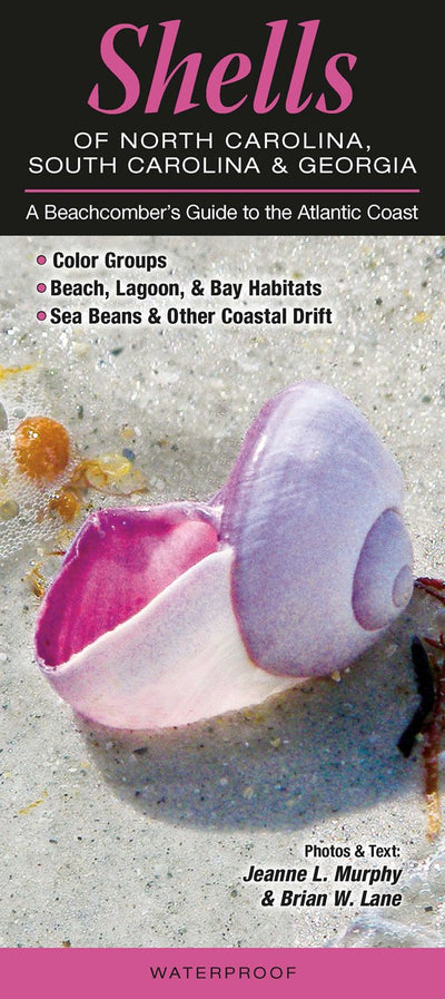 Shells of North Carolina, South Carolina & Georgia: A Beachcombers Guide to the Atlantic Coast