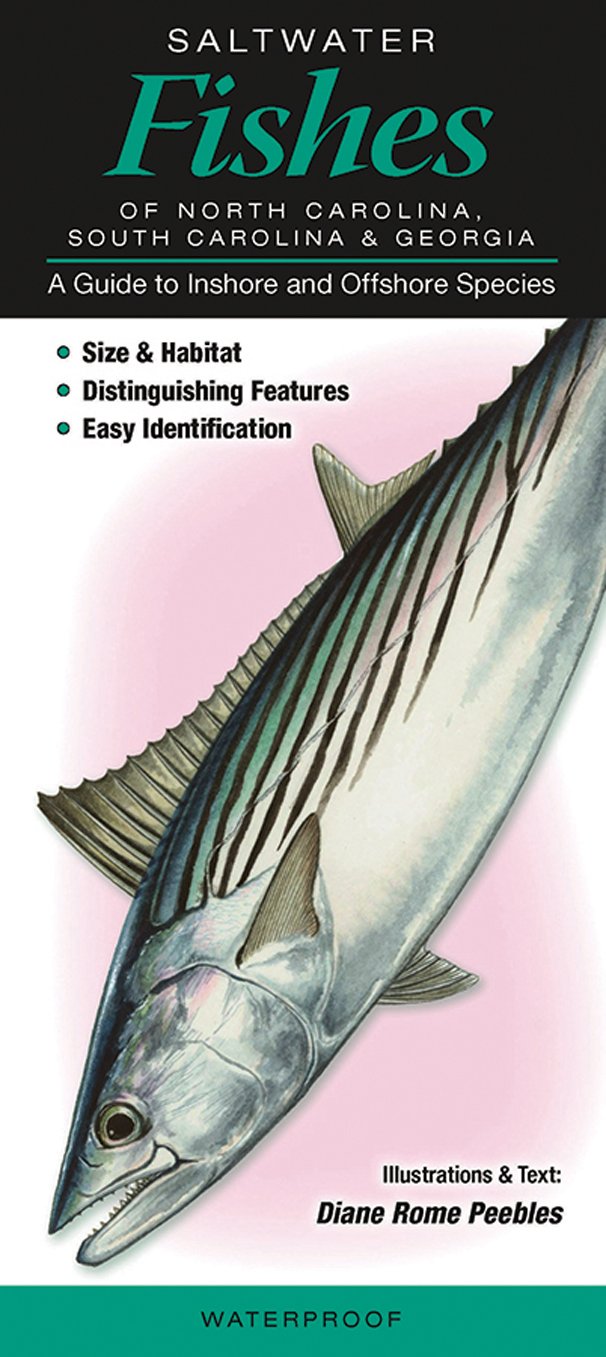 Saltwater Fishes of North Carolina, South Carolina & Georgia: A Guide to Inshore & Offshore Species