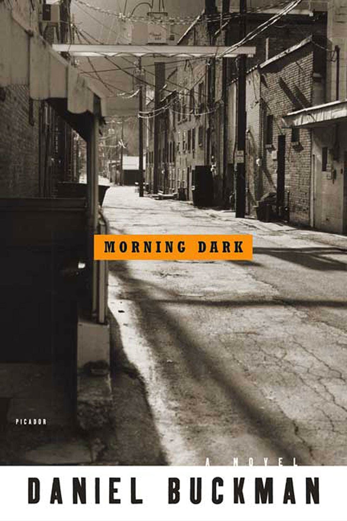 Morning Dark: A Novel