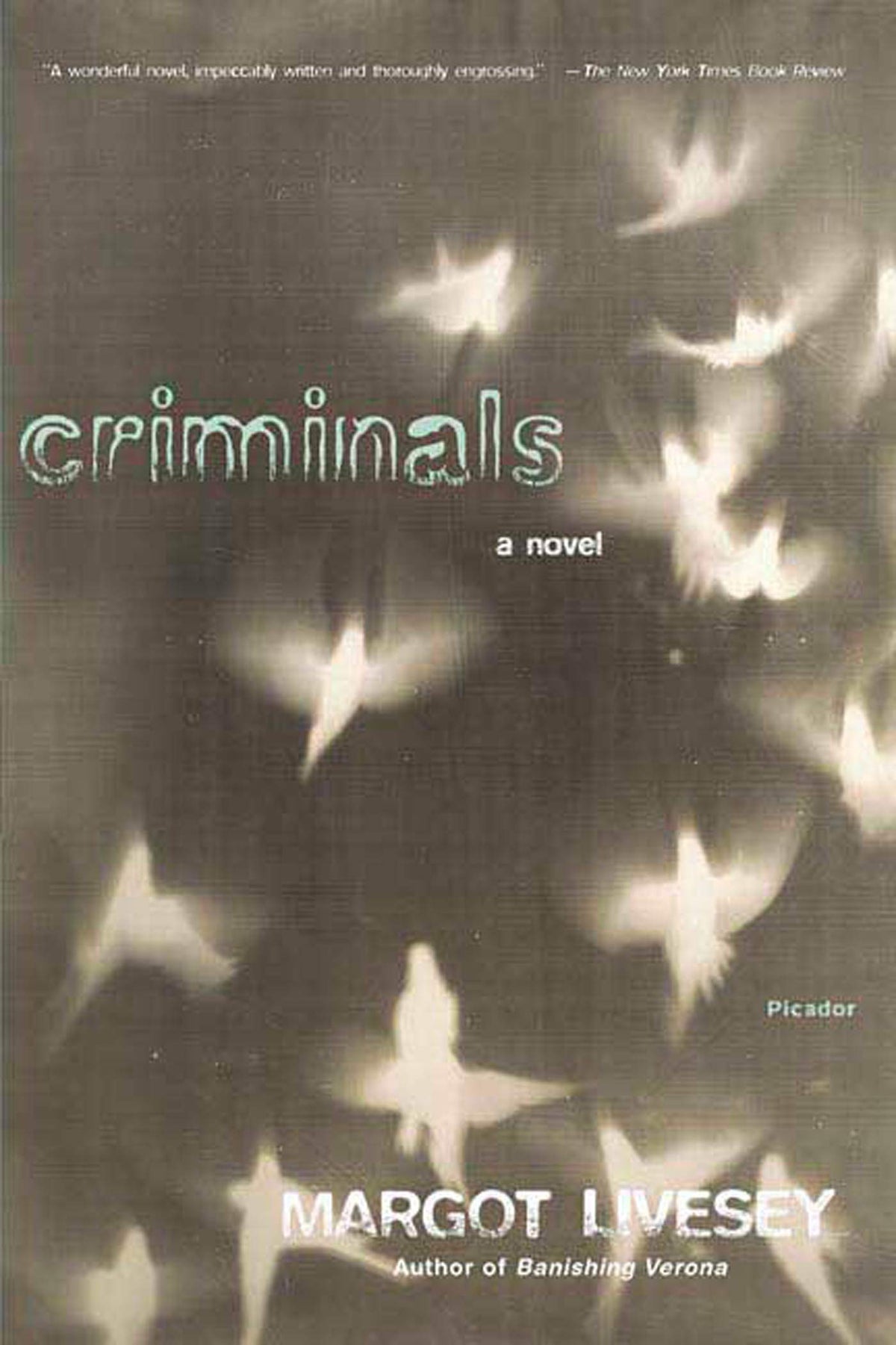 Criminals: A Novel
