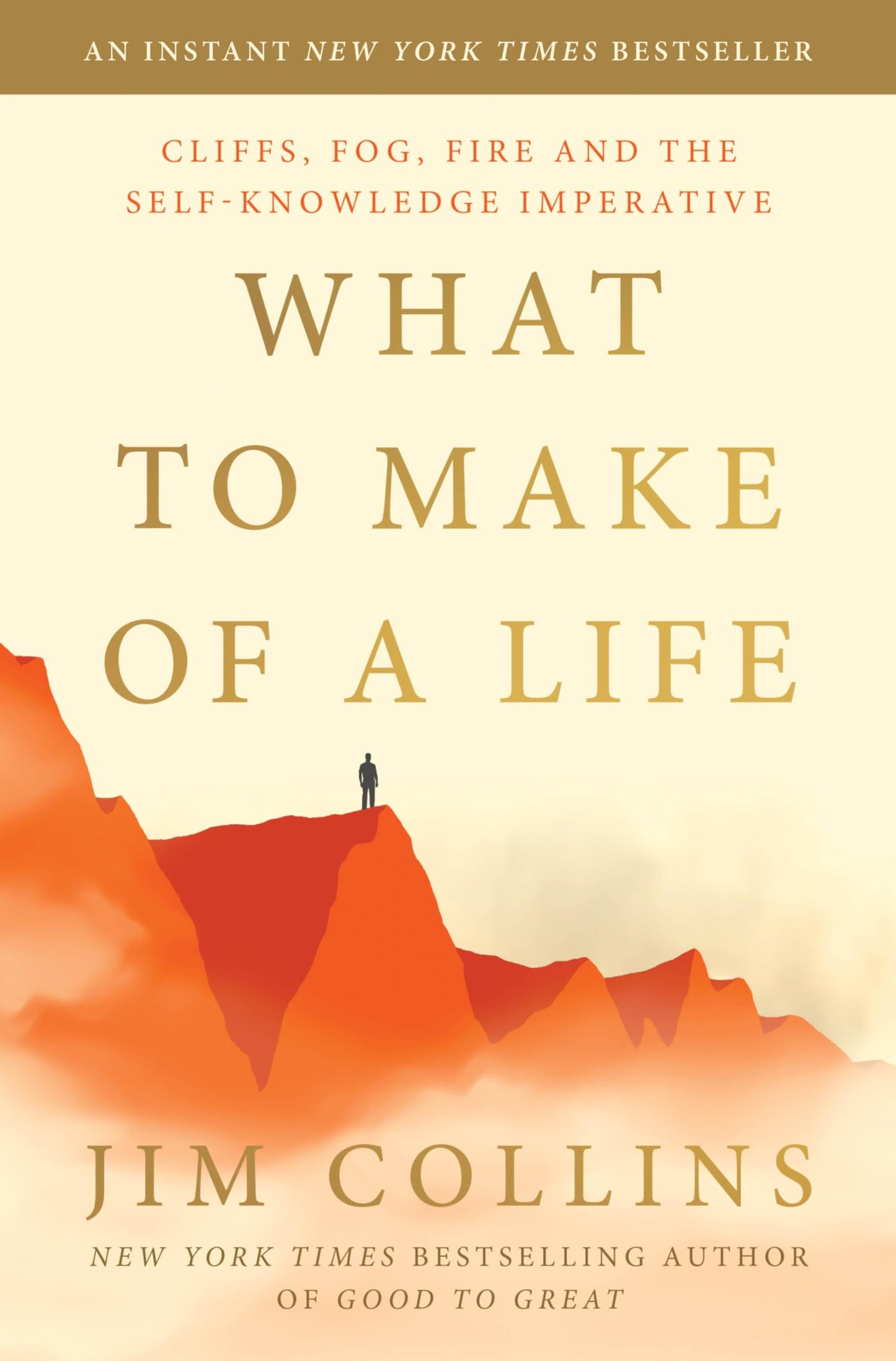What to Make of a Life: Cliffs, Fog, Fire and the Self-Knowledge Imperative
