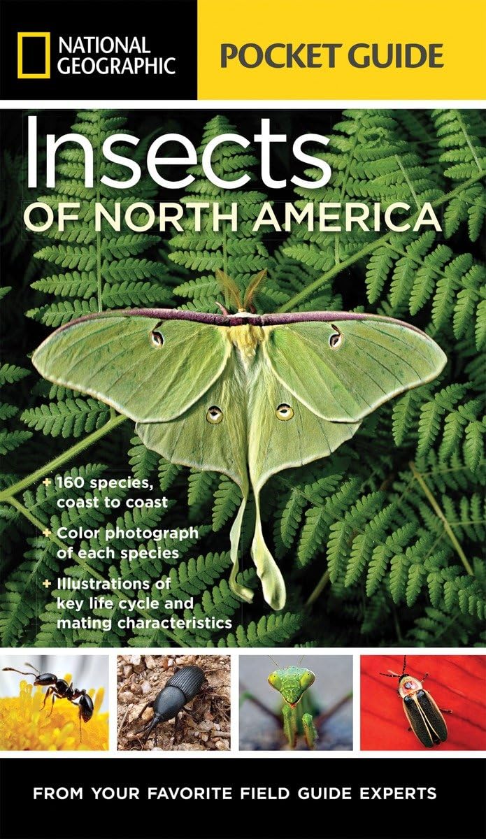 National Geographic Pocket Guide to Insects of North America: From Your Favorite Field Guide Experts