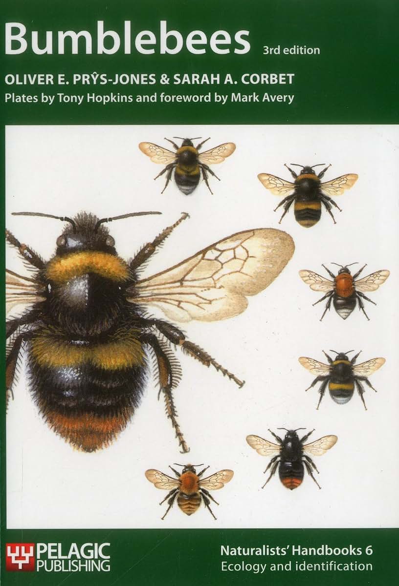 Bumblebees (Vol. 6) (Naturalists' Handbooks, Vol. 6)