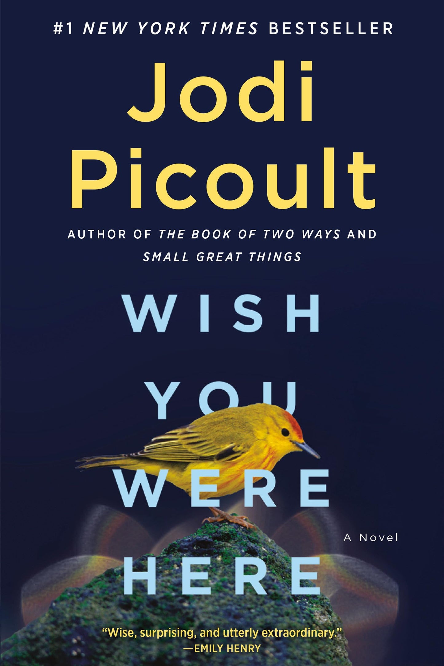Wish You Were Here: A Novel by Picoult, Jodi