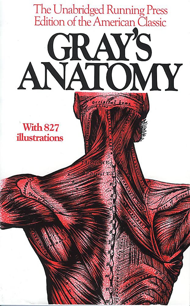 Anatomy, Descriptive and Surgical, 1901 Edition