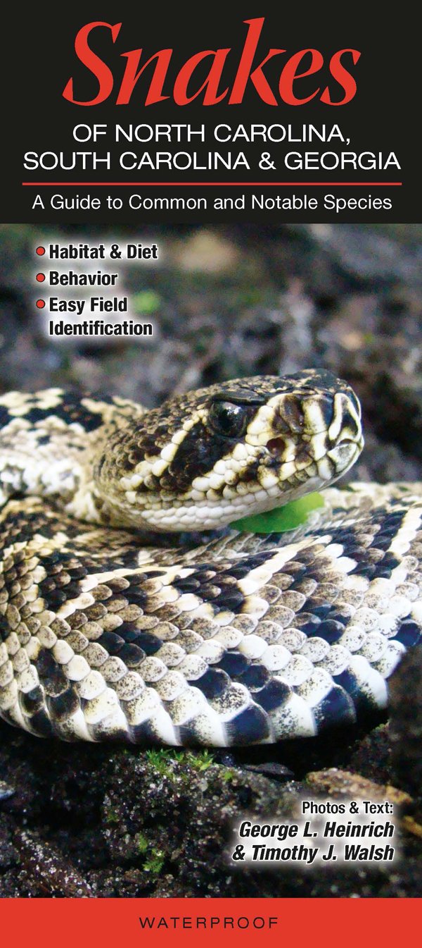 Snakes of North Carolina, South Carolina & Georgia: A Guide to Common & Notable Species