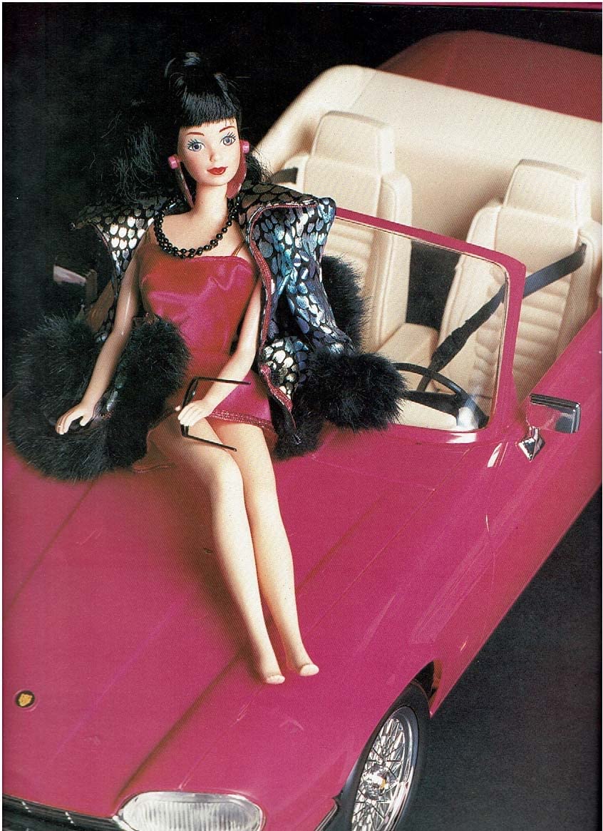 The Collectible Barbie Doll: An Illustrated Guide to Her Dreamy World