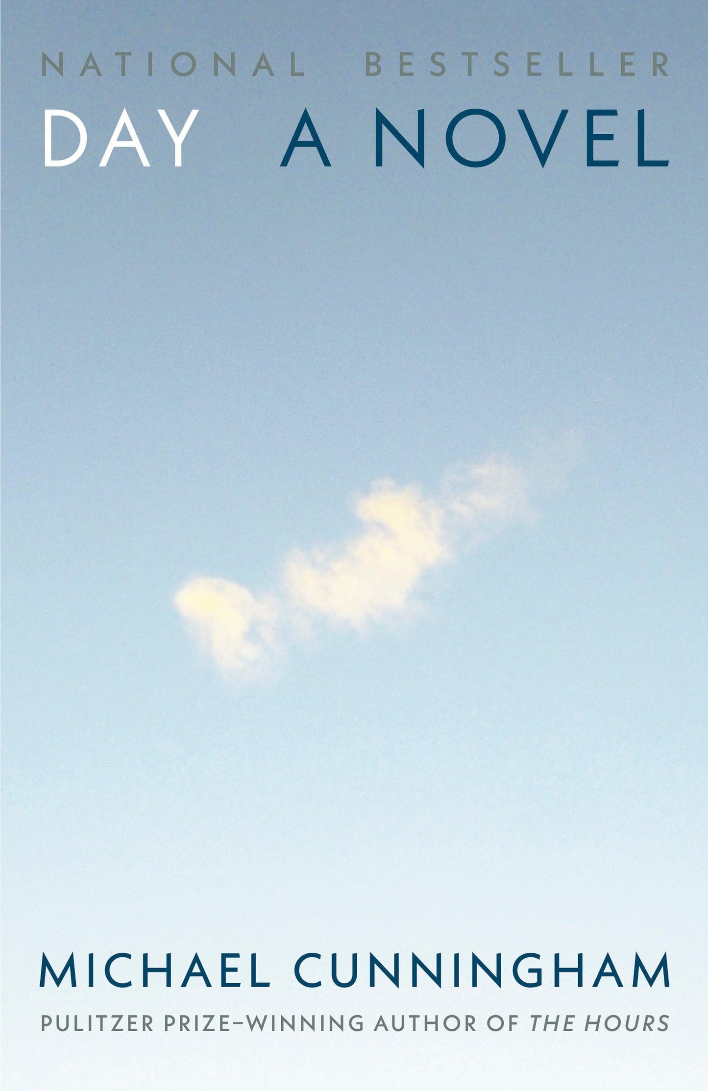 Day: A Novel