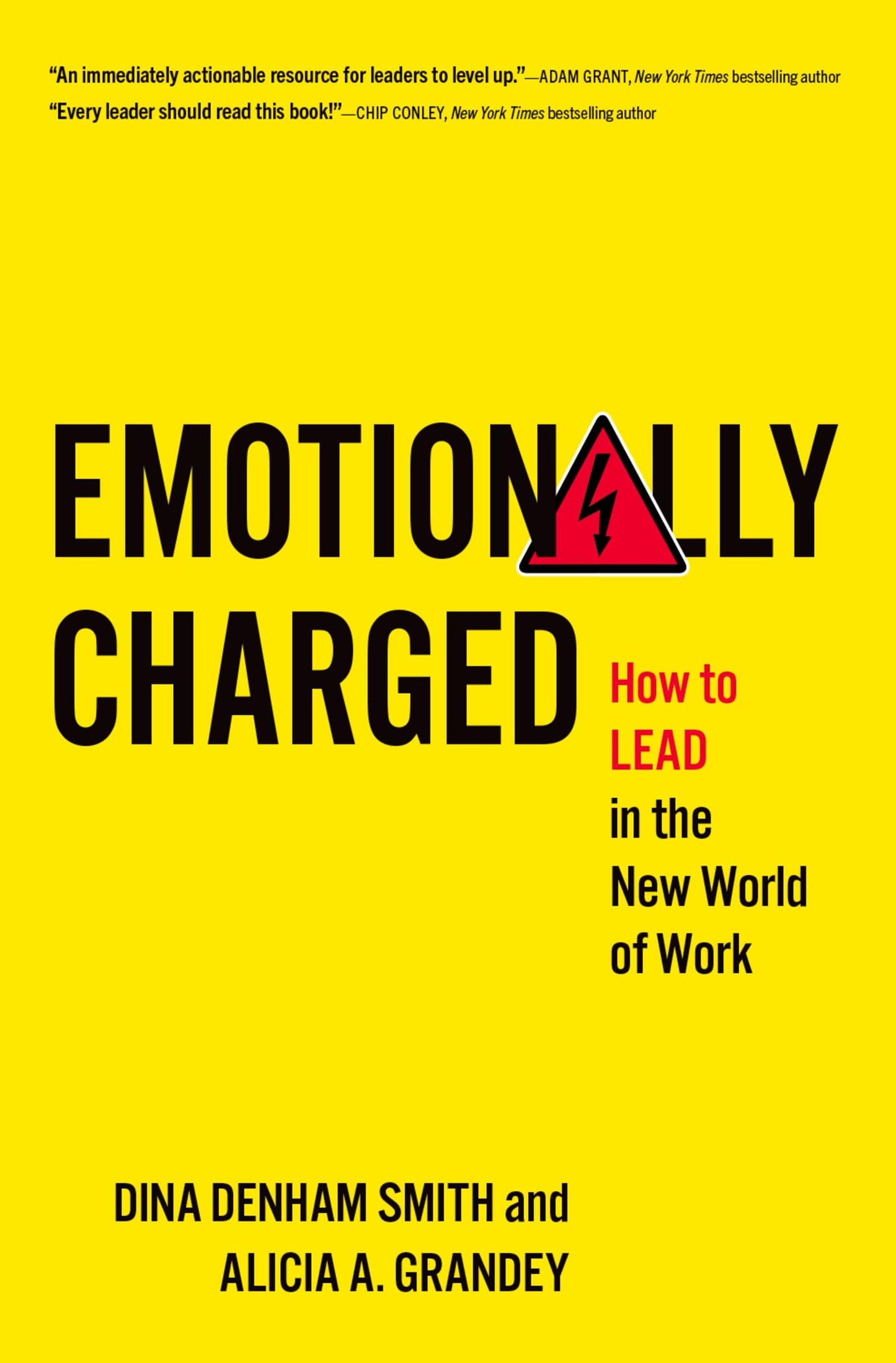 Emotionally Charged: How to Lead in the New World of Work