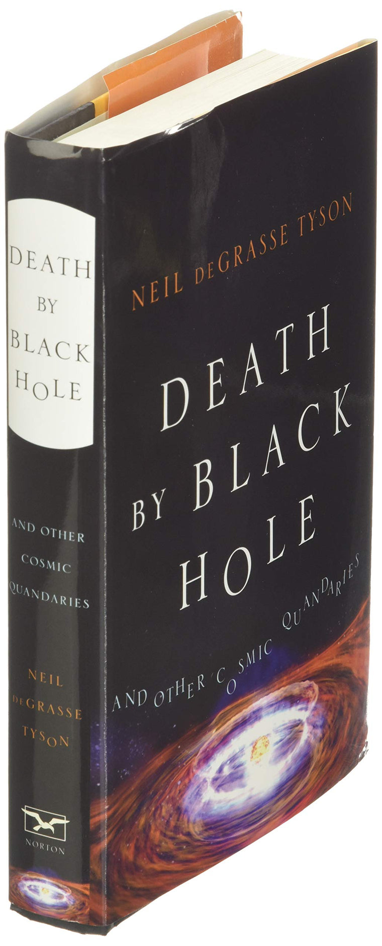 Death by Black Hole: And Other Cosmic Quandaries — back cover