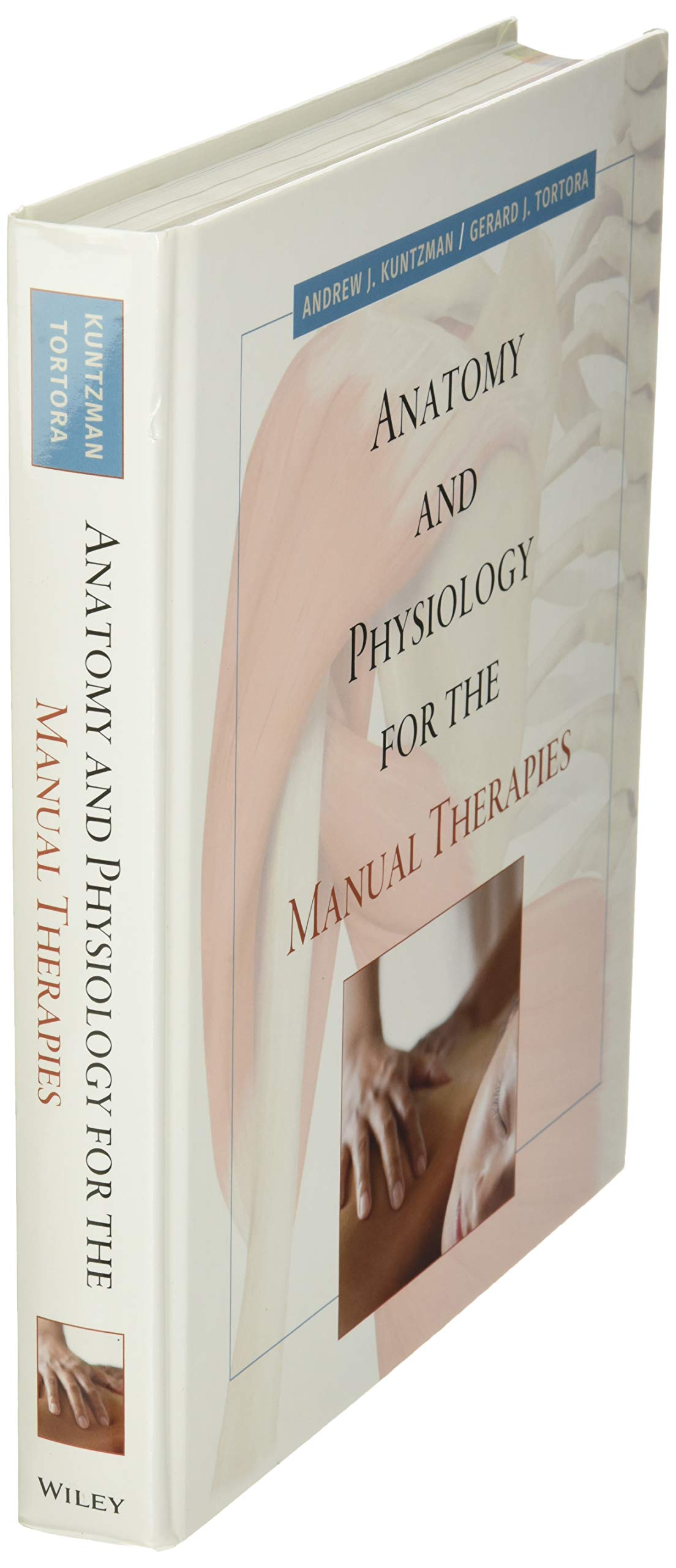 Anatomy and Physiology for the Manual Therapies by Kuntzman