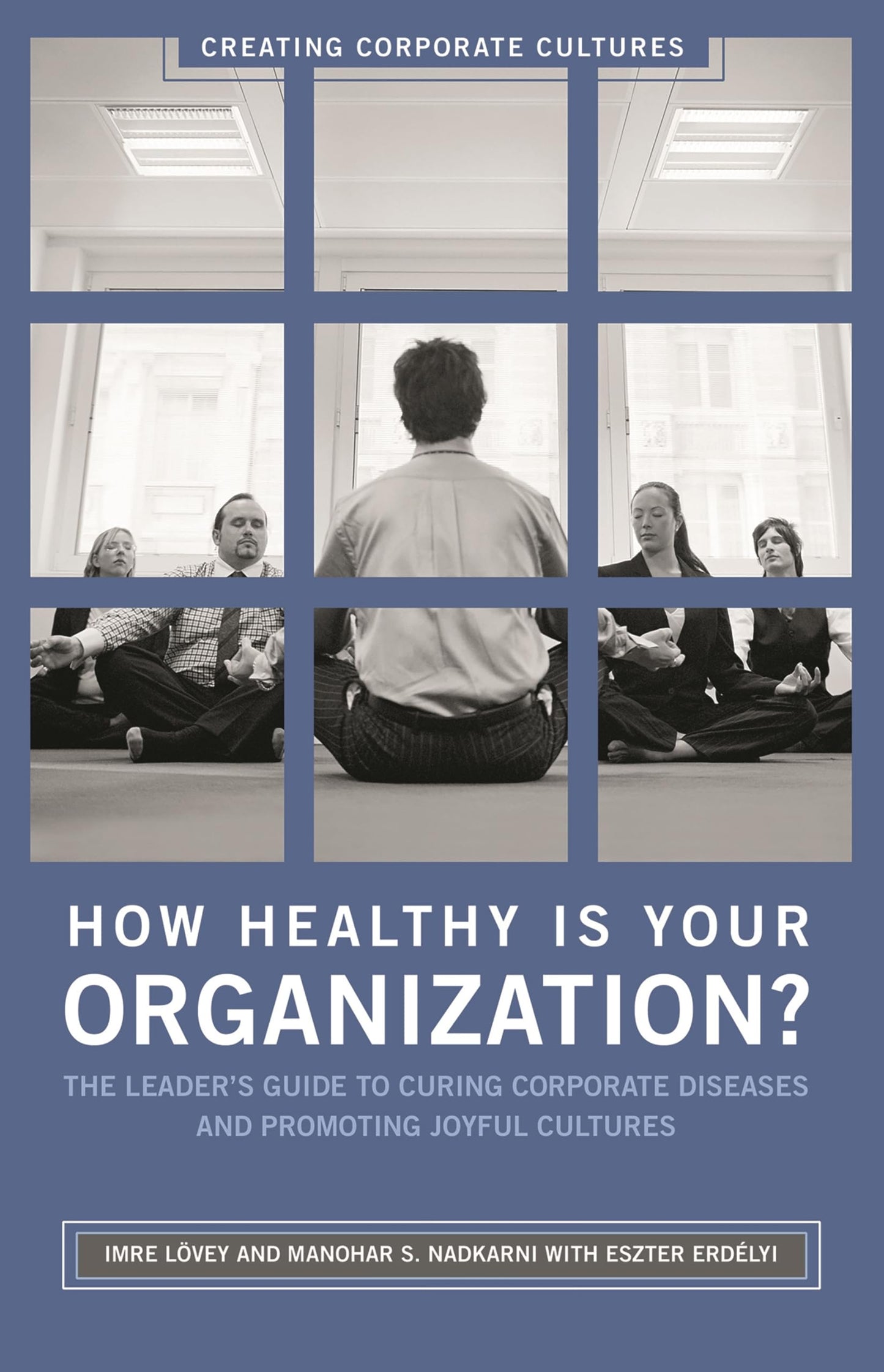 How Healthy Is Your Organization?: The Leader's Guide to Curing Corporate Diseases and Promoting Joyful Cultures (Creating Corporate Cultures)