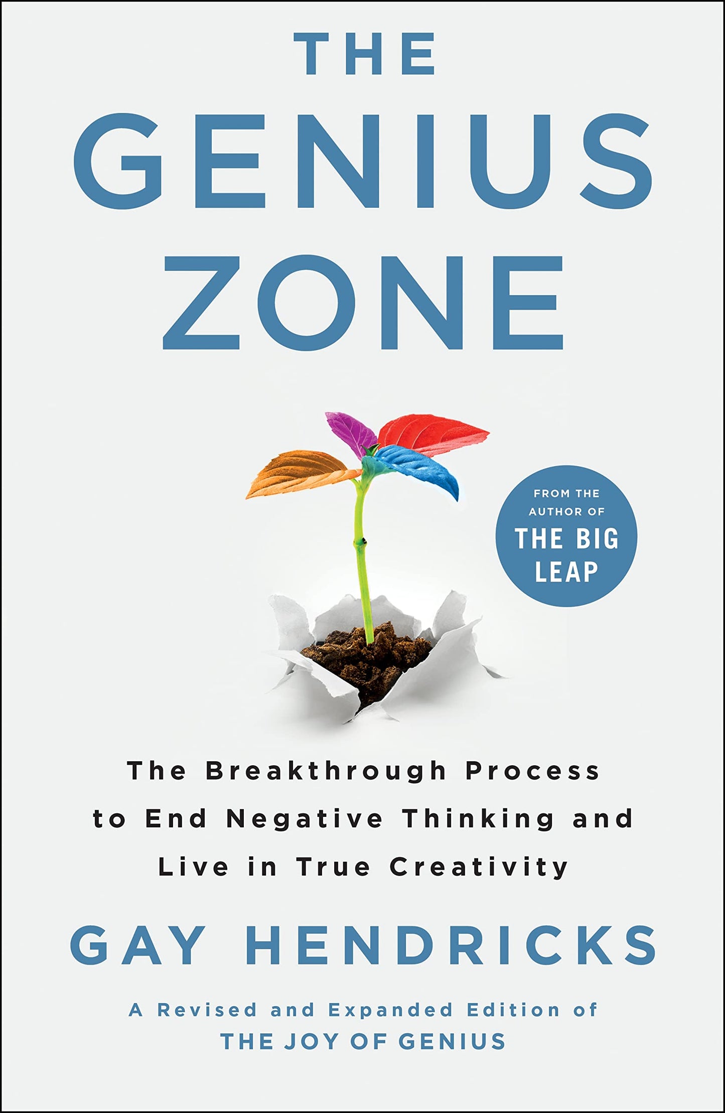 The Genius Zone: The Breakthrough Process to End Negative Th