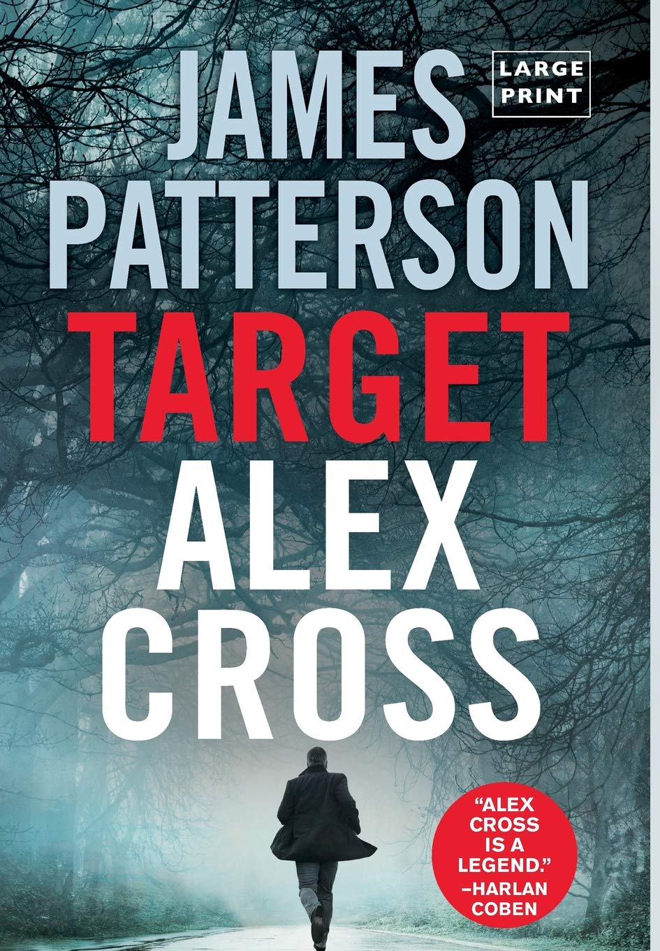 Target: Alex Cross (Large type / large print) (Alex Cross, 24)