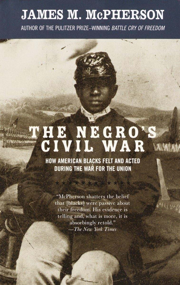 The Negro's Civil War: How American Blacks Felt and Acted During the War for the Union (Vintage Civil War Library)