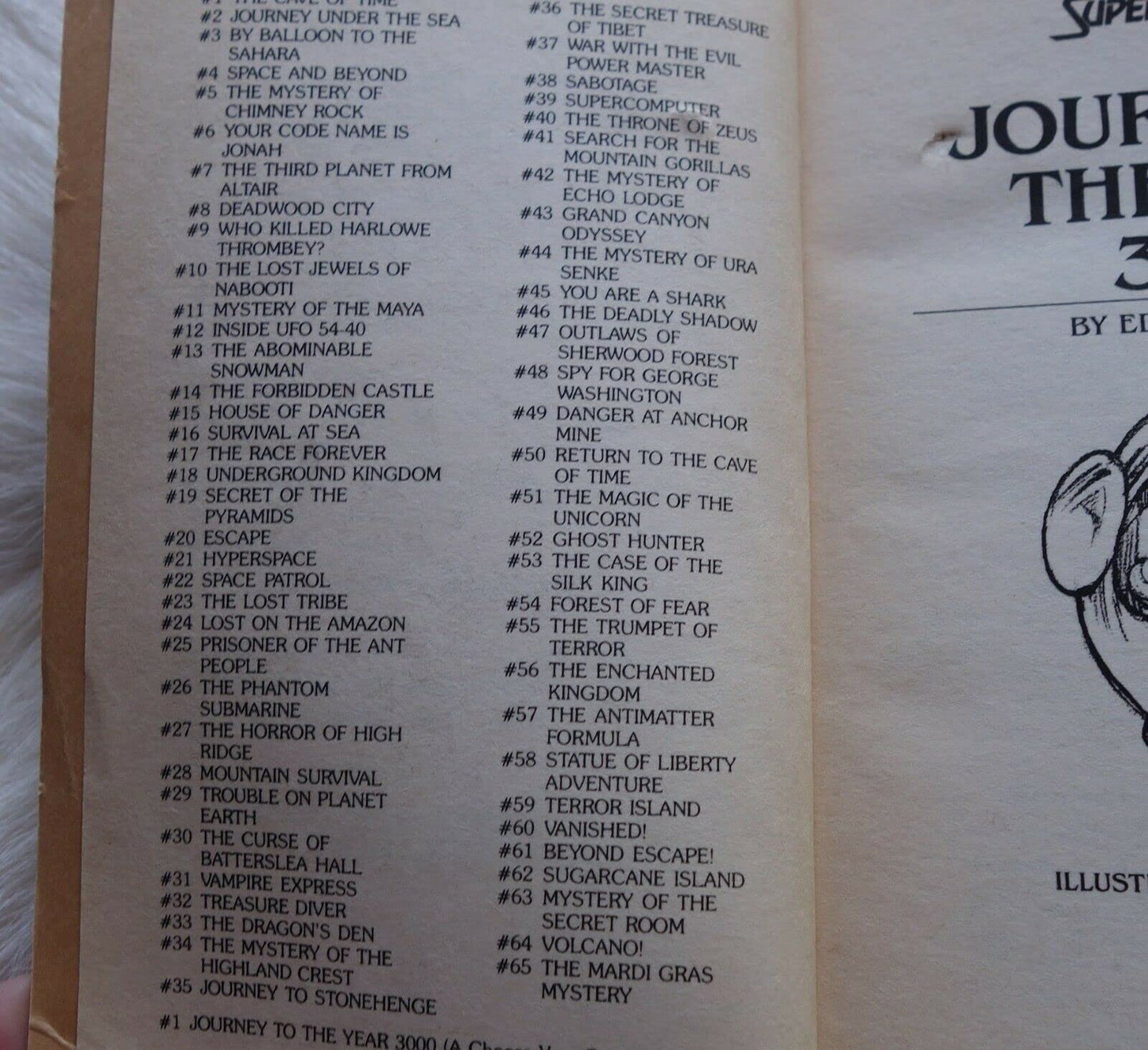 Journey to the Year 3000 (Choose Your Own Adventure: Super A