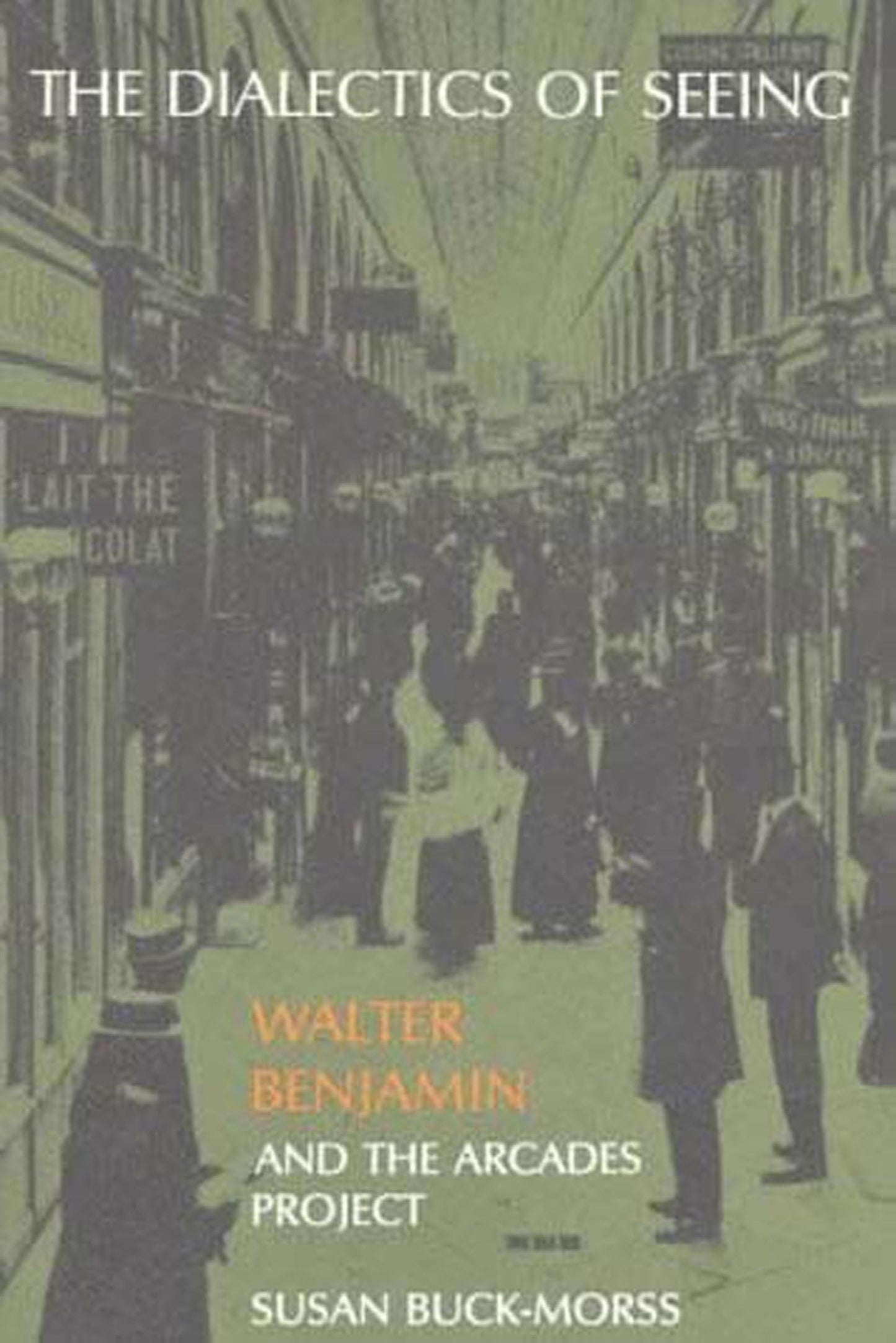 The Dialectics of Seeing: Walter Benjamin and the Arcades Pr