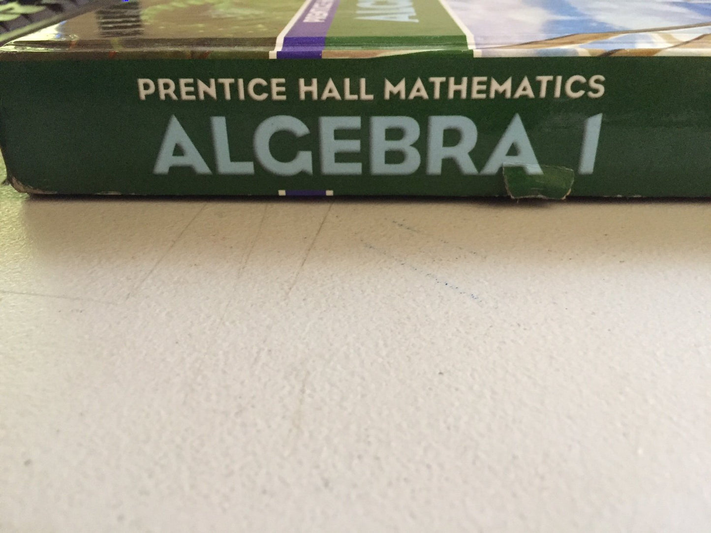 Algebra 1 (Prentice Hall Mathematics)