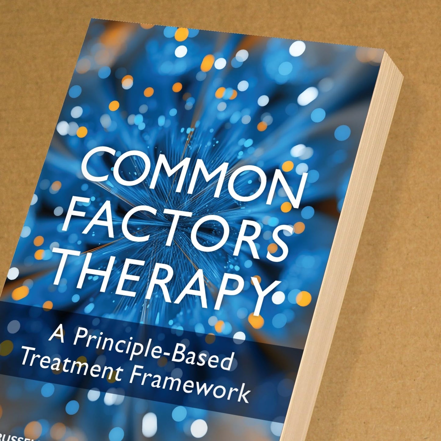 Common Factors Therapy: A Principle-Based Treatment Framework