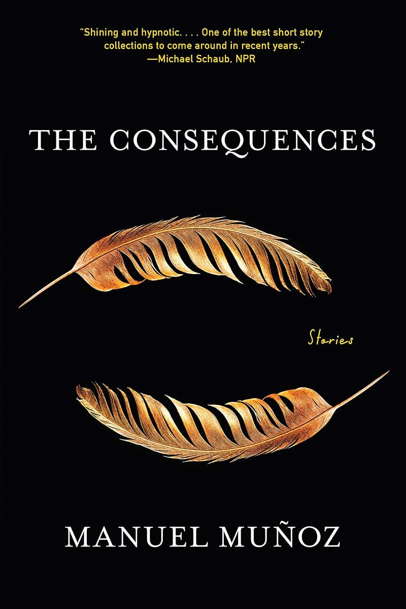 The Consequences: Stories