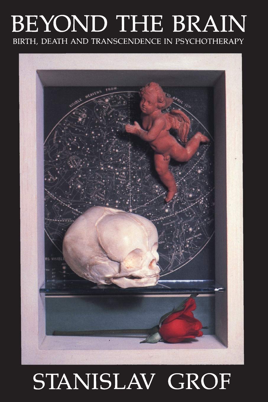 Beyond the Brain: Birth, Death, and Transendence in Psychoth