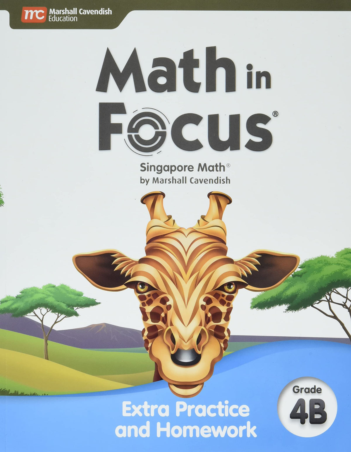 Extra Practice and Homework Volume B Grade 4 (Math in Focus)