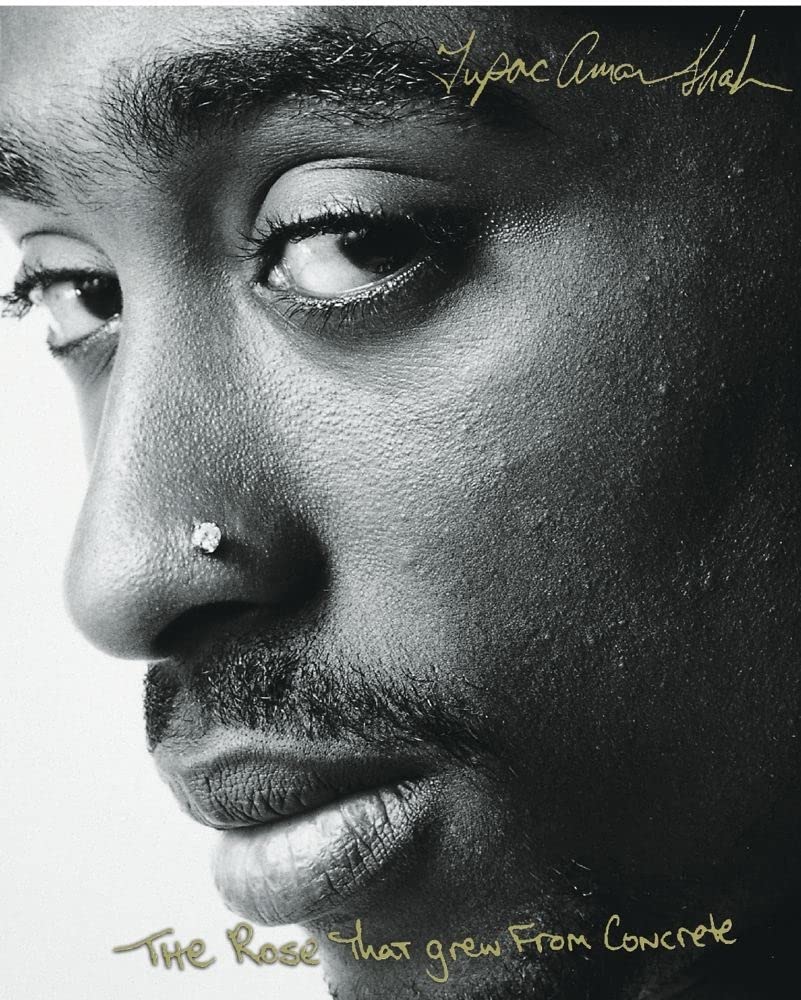 The Rose That Grew From Concrete (Tupac Shakur)