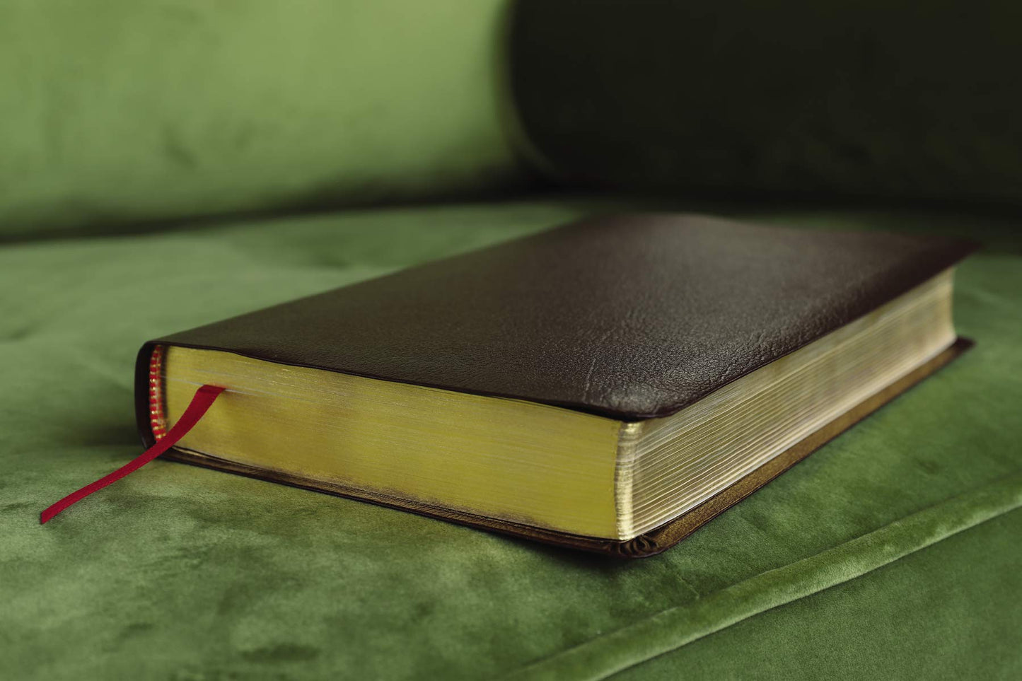 Amplified Holy Bible, Bonded Leather, Burgundy: Captures the