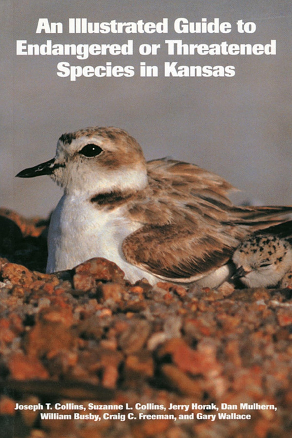 An Illustrated Guide to Endangered or Threatened Species in Kansas