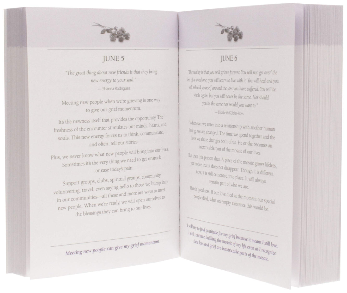 Grief One Day at a Time: 365 Meditations to Help You Heal