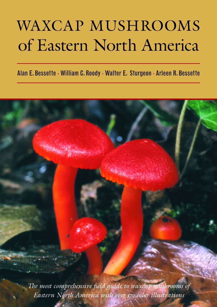 Waxcap Mushrooms of Eastern North America by Bessette, Alan