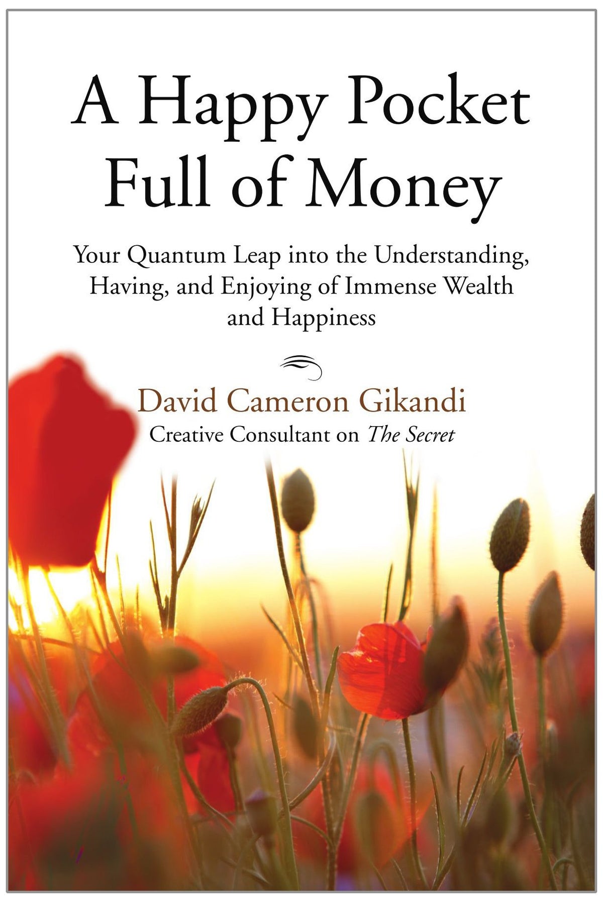 A Happy Pocket Full of Money: Your Quantum Leap into the Understanding, Having, and Enjoying of Immense Wealth and Happiness