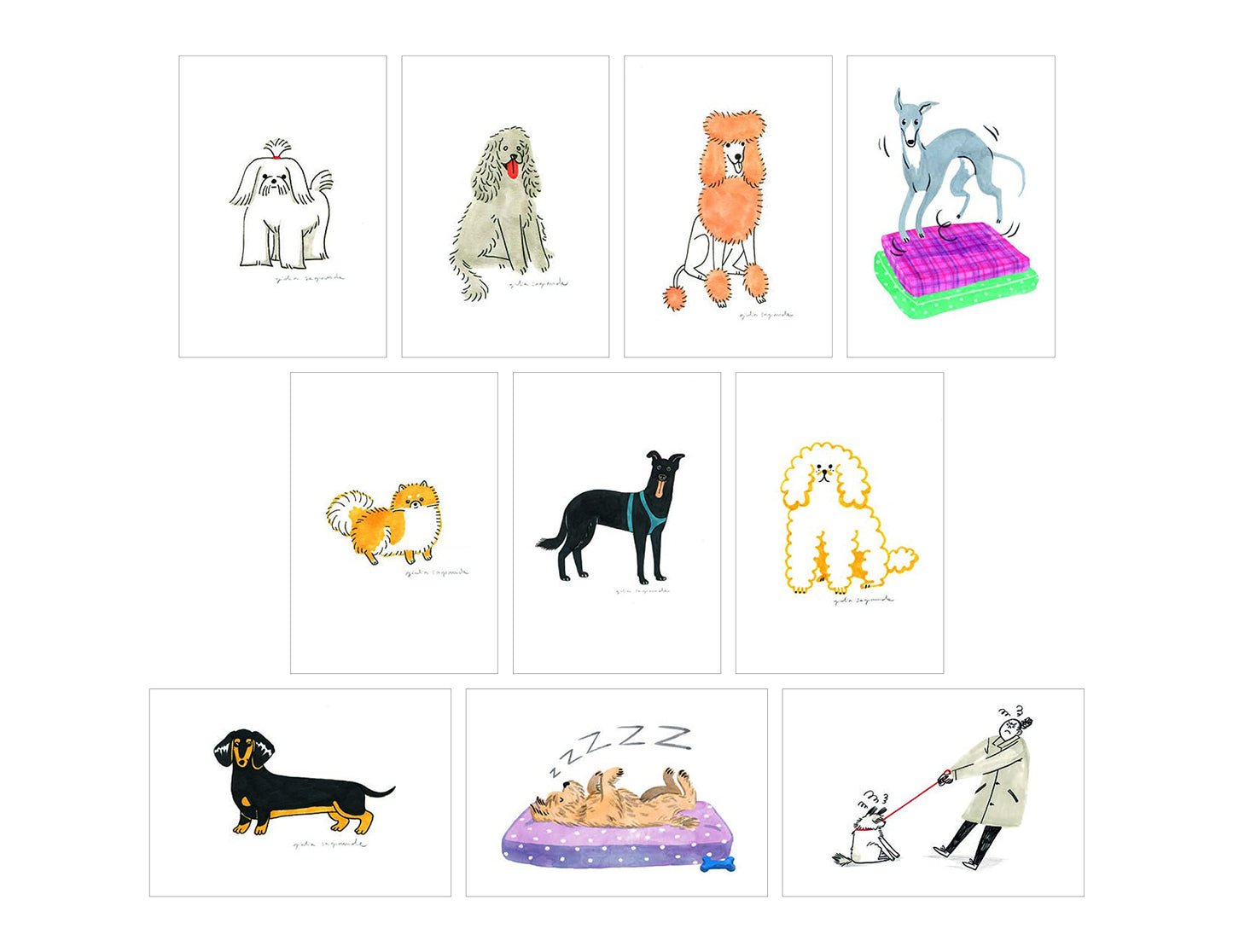 Princeton Architectural Press Dog Box: 100 Postcards by 10 Artists