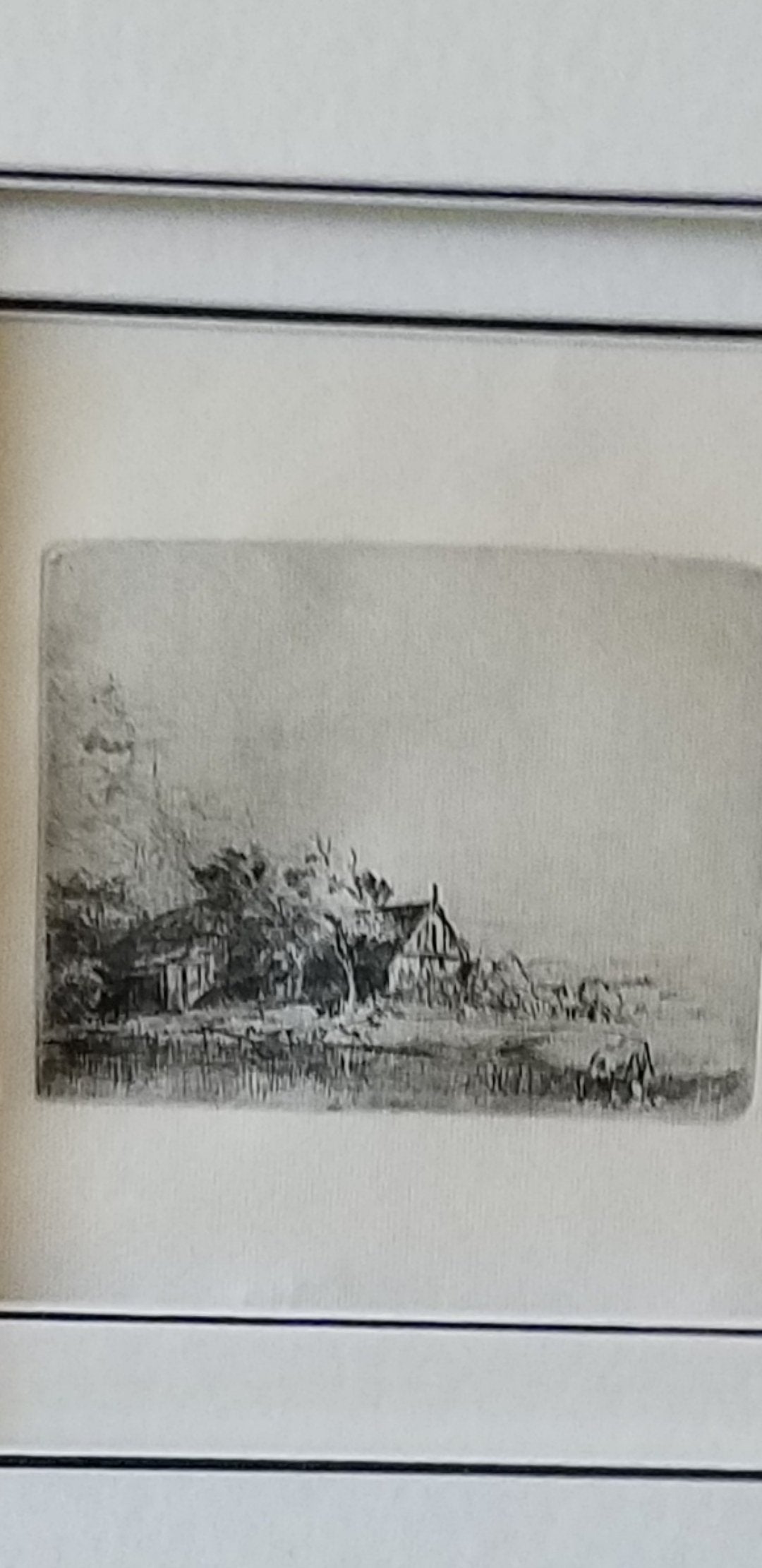 The Complete Etchings of Rembrandt: Reproduced in Original Size (Dover Fine Art, History of Art)