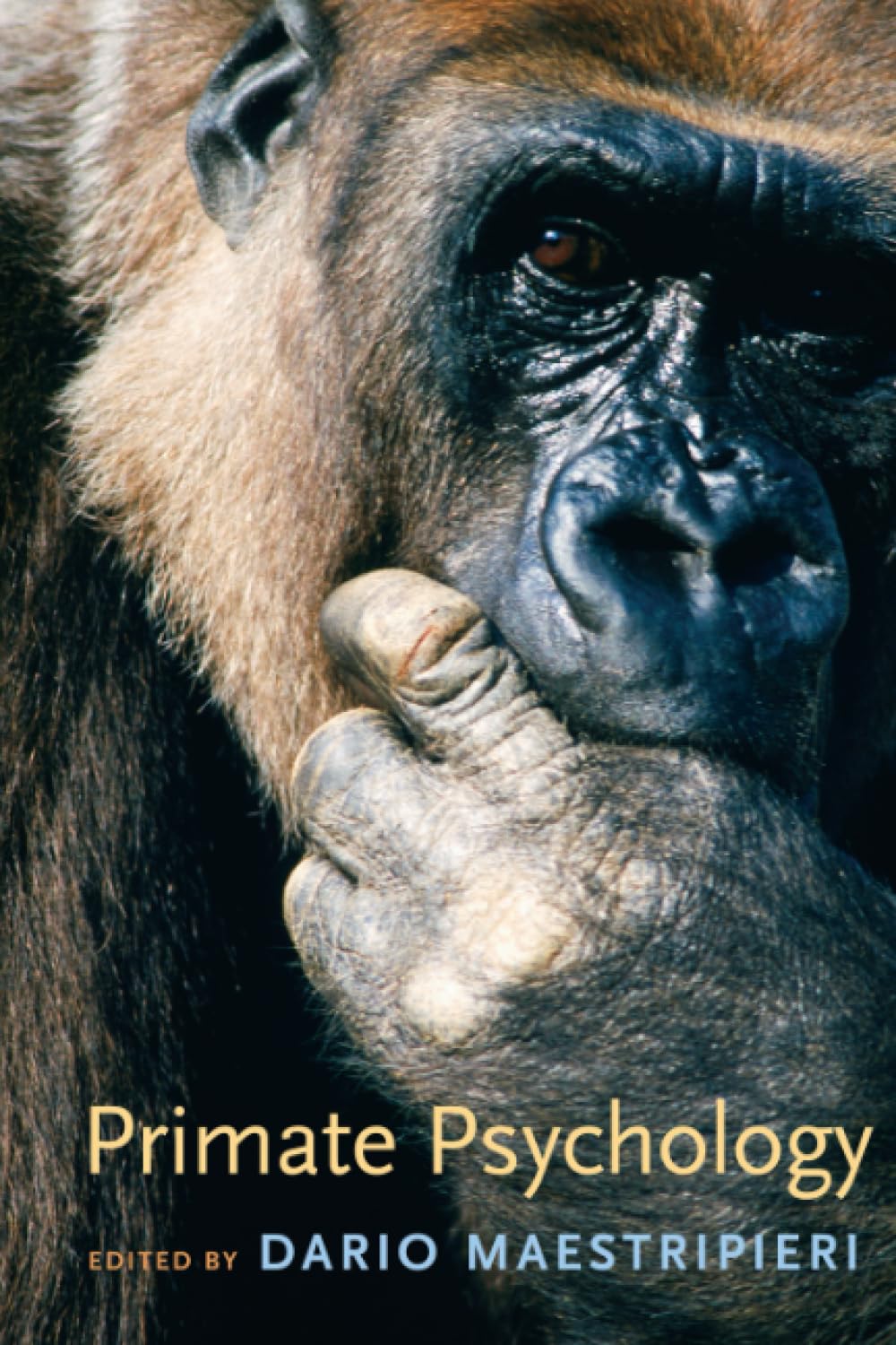 Primate Psychology