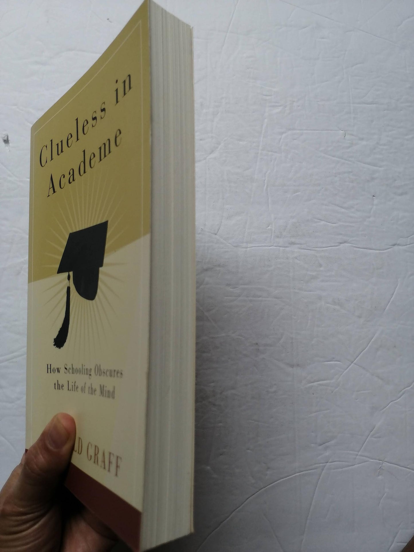 Clueless in Academe: How Schooling Obscures the Life of the Mind