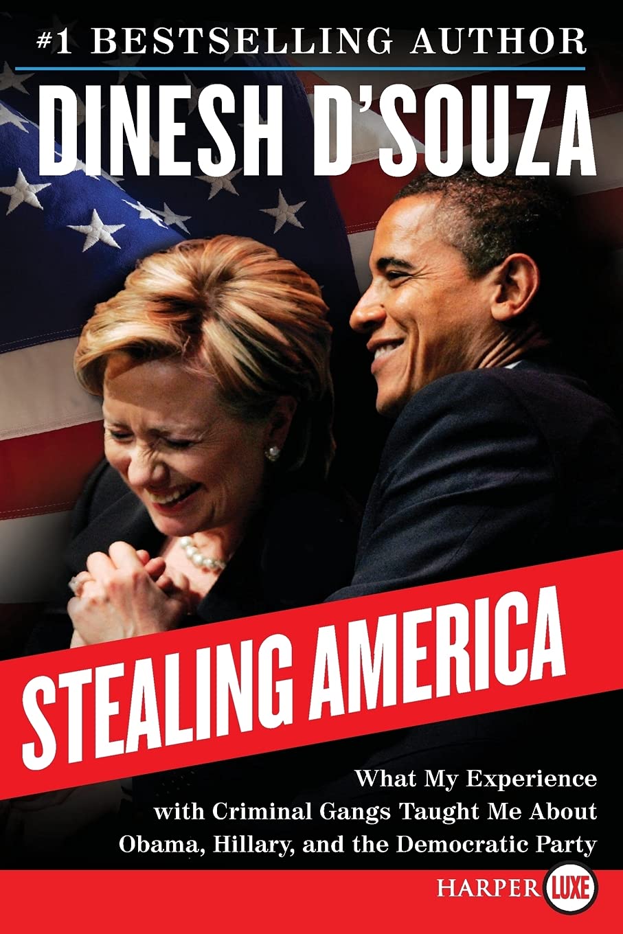 Stealing America: What My Experience with Criminal Gangs Taught Me About Obama, Hillary and the Democratic Party