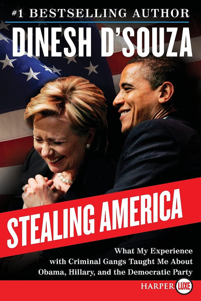 Stealing America: What My Experience with Criminal Gangs Taught Me About Obama, Hillary and the Democratic Party